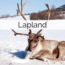 Information on getting married in Lapland