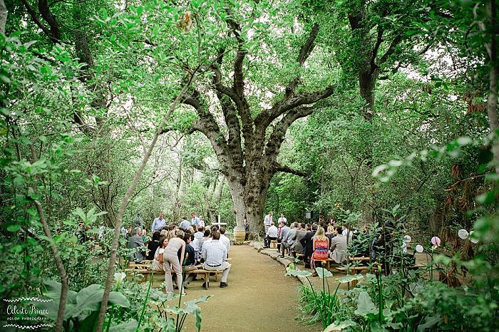 Destination Wedding in South Africa Mini Guide by Event Affairs - Forest Location photography by Aglow Photography