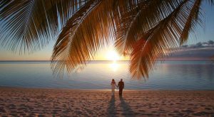 Tropical Destination Wedding and Honeymoon Packages