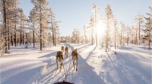 Tips & Advice on Getting Married in Lapland // Image by Wild Connections Photography