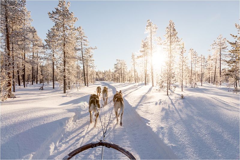 Tips & Advice on having your Wedding in Lapland // Image by Wild Connections Photography